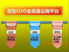 广东F2C电商模式解决方案 专家指导、生产厂家合作与软件开发价格解析